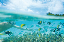 LUX* South Ari Atoll (ex.LUX* Maldives)