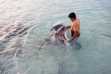 LUX* South Ari Atoll (ex.LUX* Maldives)