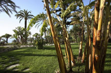 Royal Hotel SanRemo (Сан-Ремо)