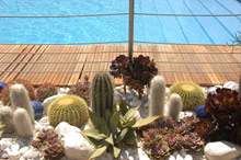 Grand Hotel Diana Majestic