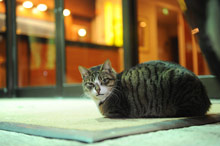 Grand Hotel Diana Majestic