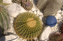 Grand Hotel Diana Majestic