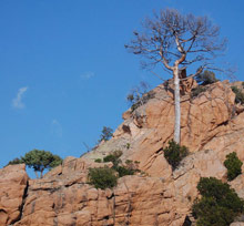 Hotel la Villa (Calvi)