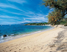 Le Maquis (Porticcio)