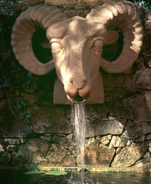 Le Maquis (Porticcio)