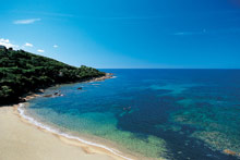 Le Maquis (Porticcio)