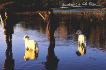 Grand Hotel de Cala Rossa