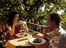 Ananda in the Himalayas