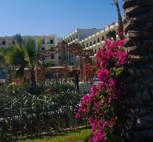 Festival Le Jardin Resort(ex.Sunrise Le Jardin Resort)