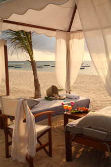 Lion in the Sun Retreat - Thalaspa Henri Chenot