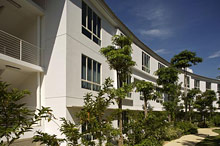 Amara Sanctuary Resort