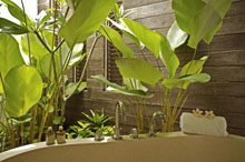 Amara Sanctuary Resort