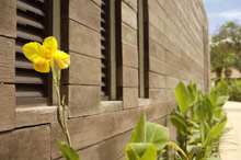 Amara Sanctuary Resort