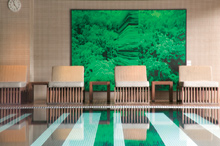 Blue Woolloomooloo Bay Sydney