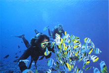 Moorea Pearl Resort & Spa