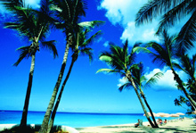 The Fairmont Royal Pavilion