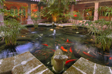 The Fairmont Royal Pavilion