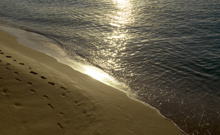 The Fairmont Royal Pavilion