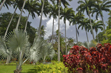 The Fairmont Royal Pavilion