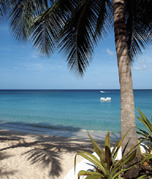 The Fairmont Royal Pavilion