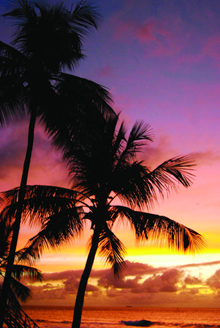 The Fairmont Royal Pavilion