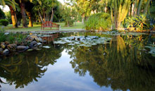 Don Carlos Leisure Resort & Spa