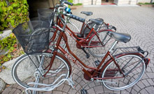 Albergo Terminus(ex.Albergo Terminus Lake Como)