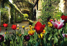 Grand Hotel Tremezzo