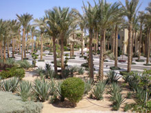 Sol Taba Red Sea (ex.Sonesta Beach Resort Taba)