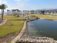 Moevenpick Resort Taba