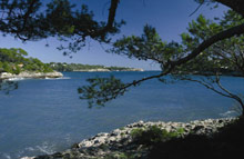 PURAVIDA Resort Blau PortoPetro(ex.Blau Porto Petro Beach Resort & Spa)