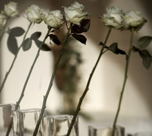 Capri Palace Hotel & Spa