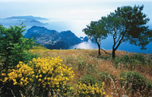 Capri Palace Hotel & Spa