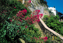 Capri Palace Hotel & Spa