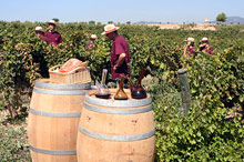 Can Bonastre Wine Resort