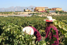 Can Bonastre Wine Resort