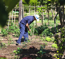 Kempinski Hotel Bahia(ex.Kempinski Hotel Bahia Estepona)