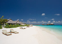 Coco Bodu Hithi
