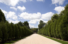 Oheka Castle Hotel & Estate