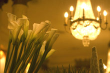 Bellevue Palace Bern