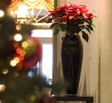 Bellevue Palace Bern