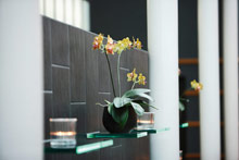 Victoria Jungfrau Grand Hotel & Spa