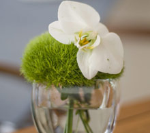 Victoria Jungfrau Grand Hotel & Spa