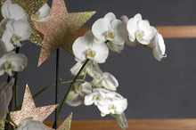 Victoria Jungfrau Grand Hotel & Spa