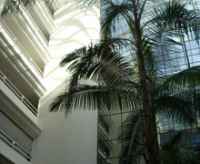 AC by Marriott Ambassadeur Antibes Juan Les Pins