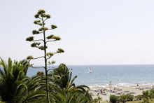 Robinson Club Sarigerme