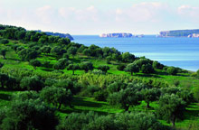 The Romanos Costa Navarino Luxury Collection Resort(ex.The Romanos, Costa Navarino)