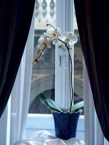 Plaza Hotel Lucchesi