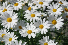 Solstrand Hotel & Bad