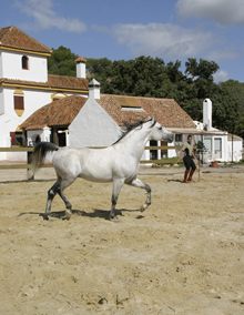 Fairplay Golf Hotel & Spa